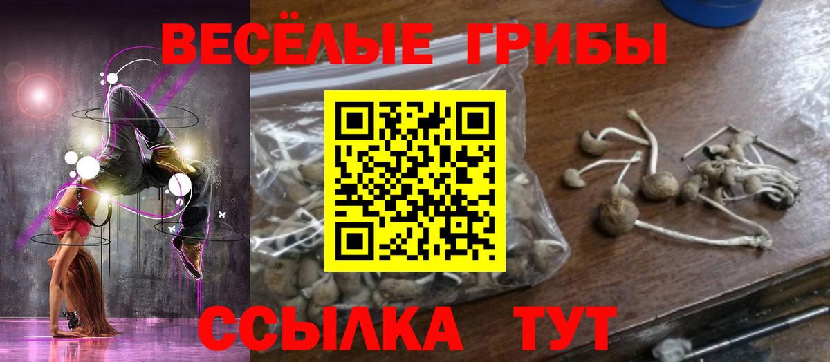 как найти   Галлюциногенные грибы мухоморы  Вход с VPN  Галлюциногенные грибы GOLDEN TEACHER  Ревда 