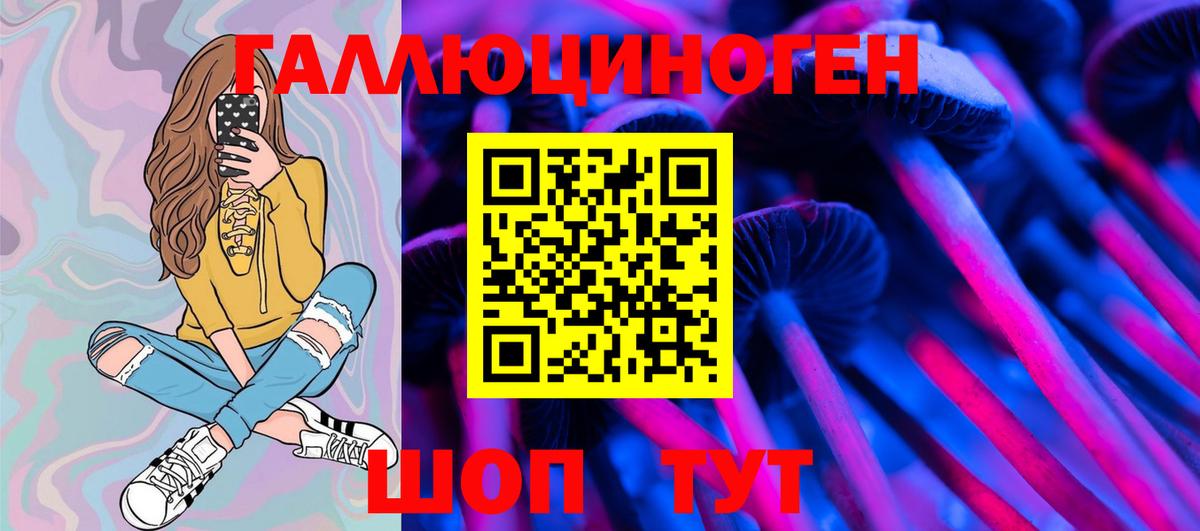 Псилоцибиновые грибы Psilocybe Ревда